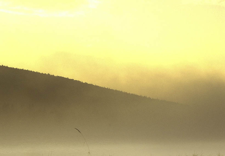 Bild auf Leinwand Nebel über See 58752 additionalImage 4
