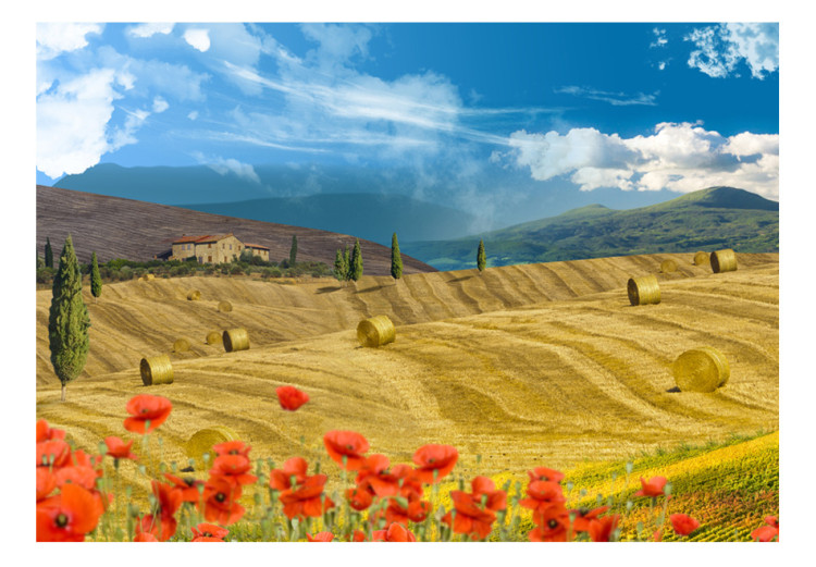 Mural Toscana italiana - paisagem natural da aldeia com árvores em prados dourados 59852 additionalImage 1