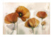 Wall Mural Poppies - Vintage and Landscape with Composition of Red Flowers on a Light Background 60652 additionalThumb 1