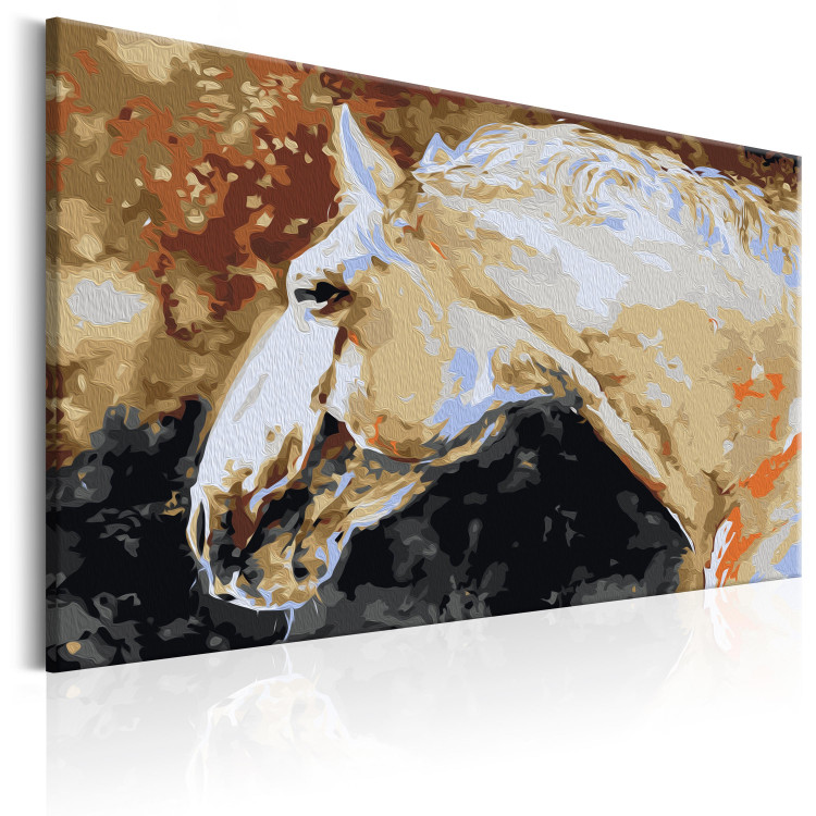 Paint by number White Horse 107162 additionalImage 5