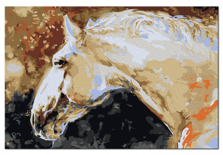Wandbild zum Malen nach Zahlen Weißes Pferd 107162 additionalImage 7