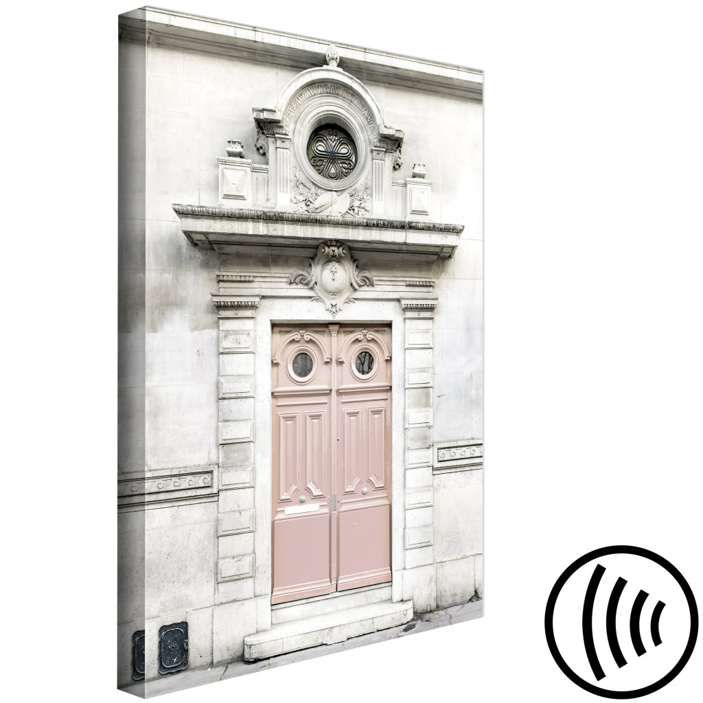 Tavla Rosa Dörrar I Ett Parisiskt Hyreshus - Fotografi Av Arkitektur I Paris