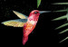 Carta da parati Idillio tropicale - Composizione raffigurante uccelli tra le foglie 142062 additionalThumb 4
