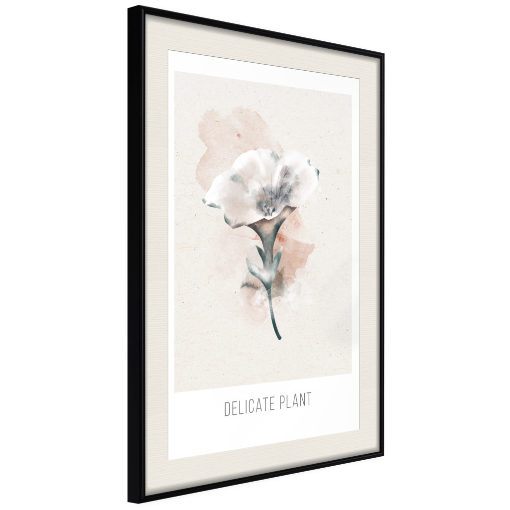 Muur Posters Delicate Plant [Poster]