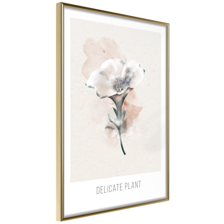 Wall Poster Delicate Plant [Poster] 142562 additionalImage 21