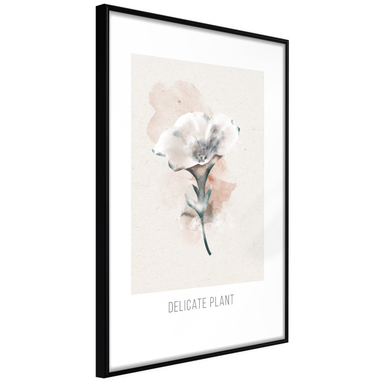 Wall Poster Delicate Plant [Poster] 142562 additionalImage 25
