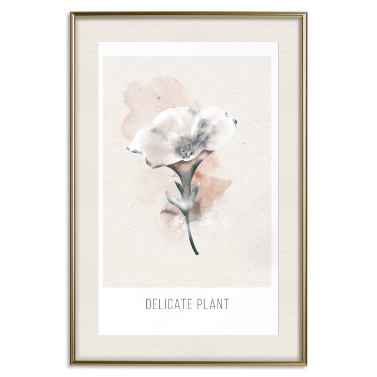Wall Poster Delicate Plant [Poster] 142562 additionalImage 13