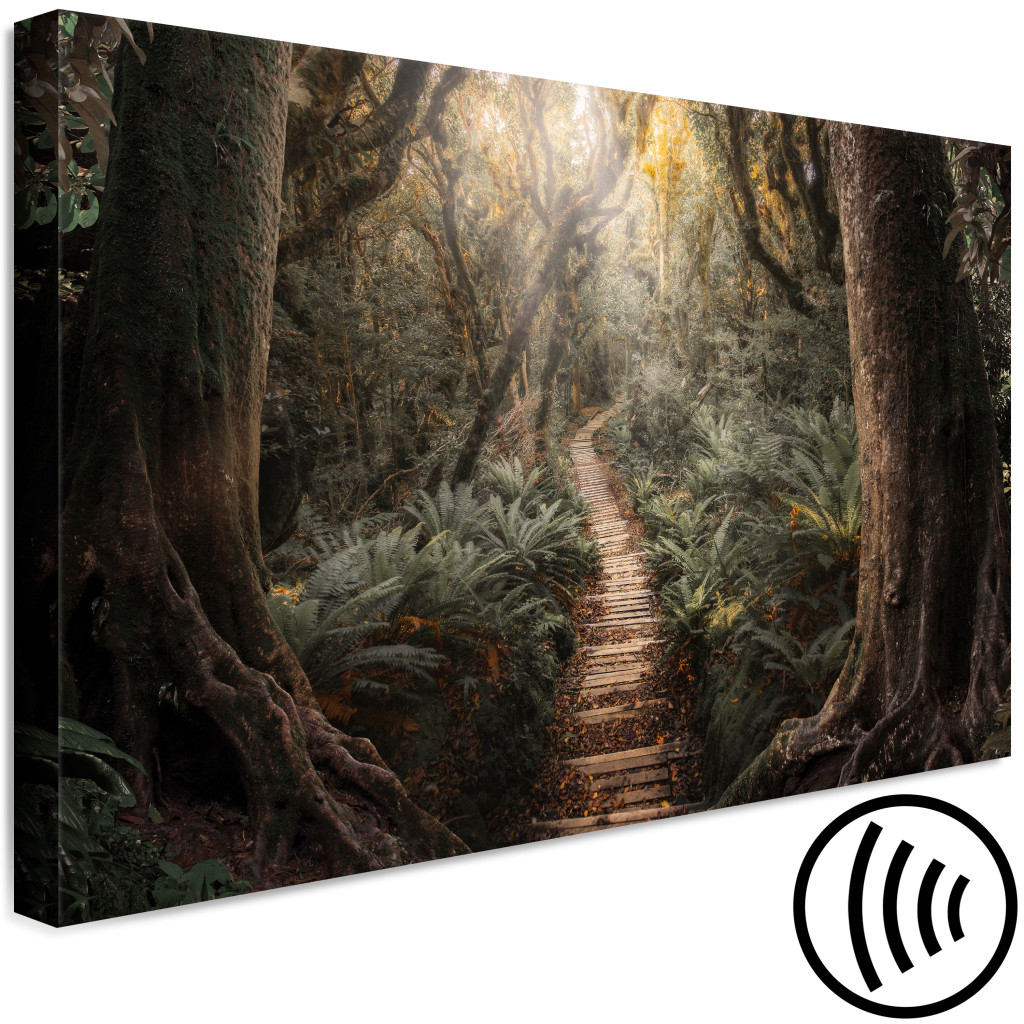 Schilderij  Bos: Way Of Nature - Wooden Path Leading Through The Paradise Jungle