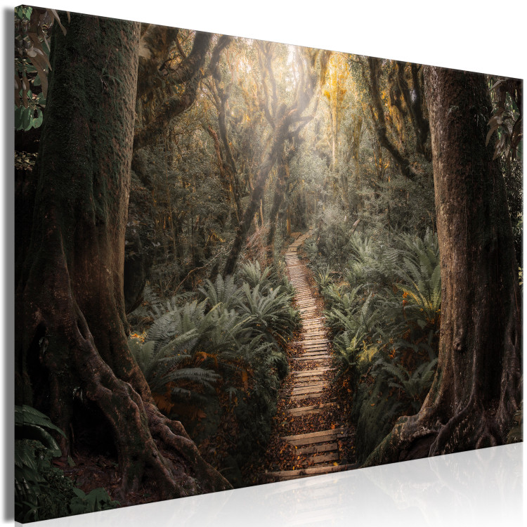 Canvas Art Print Way of Nature - Wooden Path Leading through the Paradise Jungle 146462 additionalImage 2