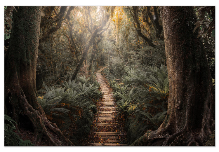 Canvas Art Print Way of Nature - Wooden Path Leading through the Paradise Jungle 146462