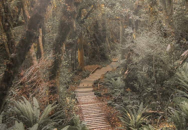 Canvas Art Print Way of Nature - Wooden Path Leading through the Paradise Jungle 146462 additionalImage 4