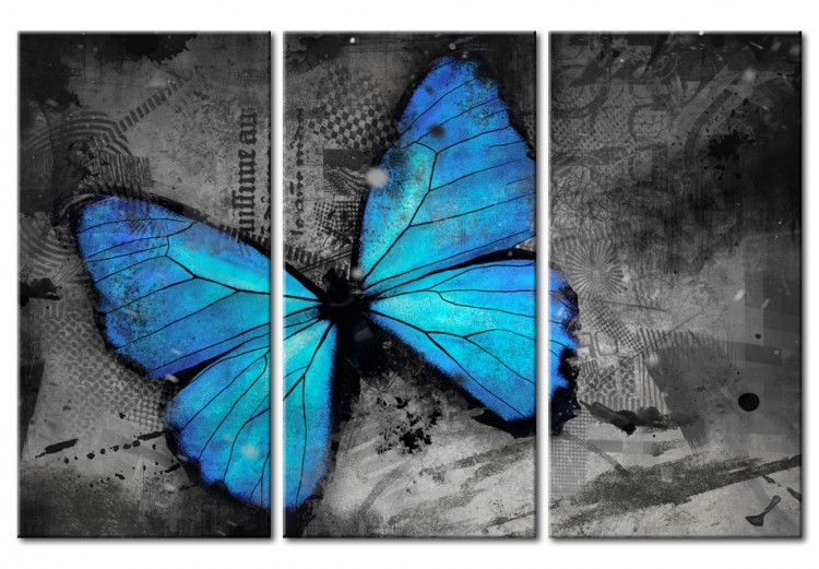 Cadre moderne Etude d'un papillon - triptyque 50362