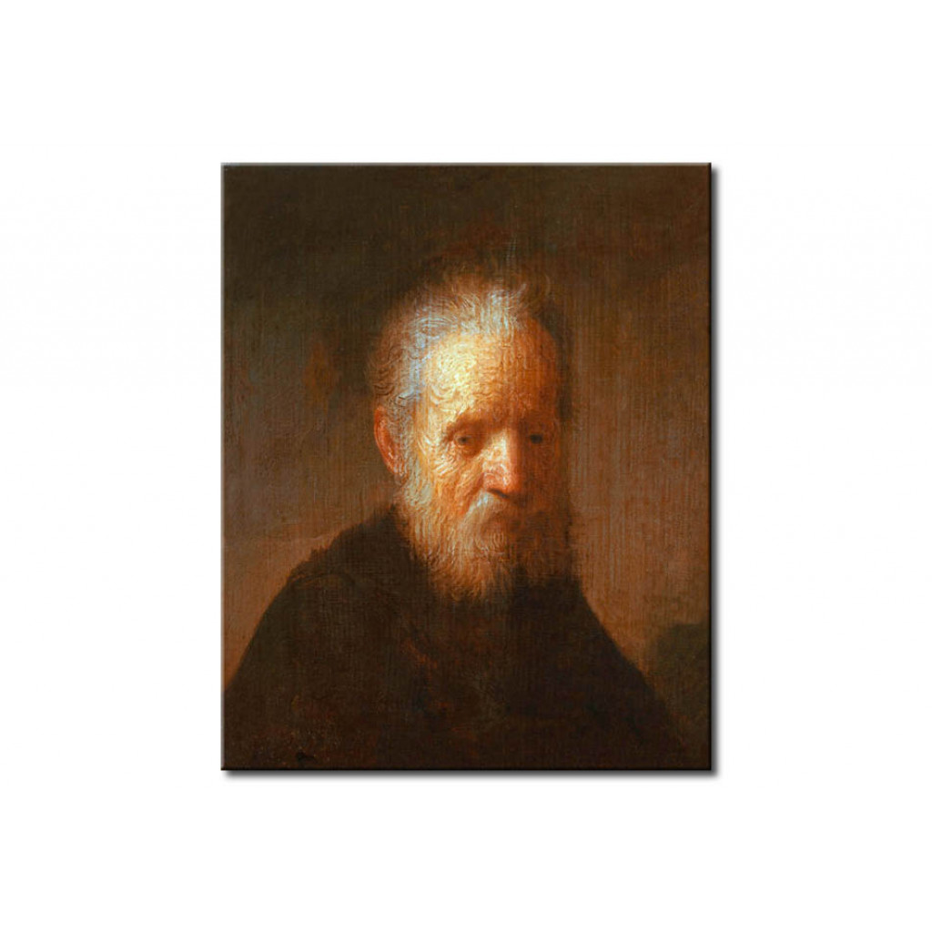 Schilderij  Rembrandt: Portrait Of An Old Man