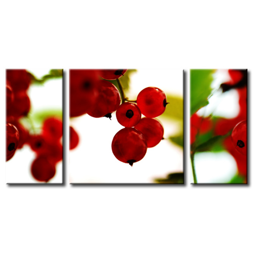 Schilderij  Fruit: Rode Bessen