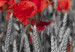 Canvas Art Print Poppies in the grain 58762 additionalThumb 4