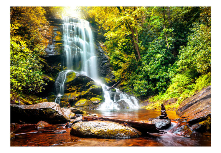 Wall Mural Marvel of Nature II - Landscape of Waterfall Flowing over Rocks in the Middle of the Forest 60062 additionalImage 1