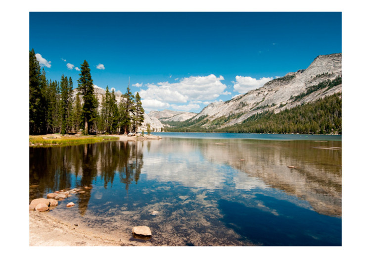 Fotomural a medida Tenaya Lake - Yosemite National Park 60262 additionalImage 1