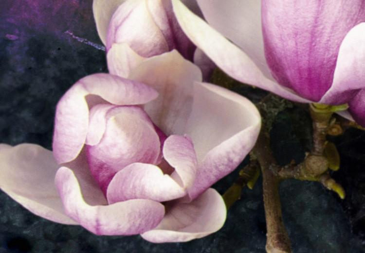 Cuadro Avant-Garde Magnolia (1 Part) Narrow Violet 125772 additionalImage 4