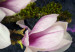 Cuadro Avant-Garde Magnolia (1 Part) Narrow Violet 125772 additionalThumb 5
