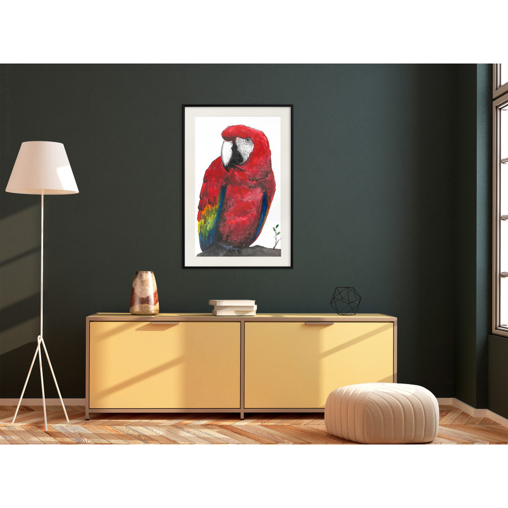 Muur Posters Parrot [Poster]