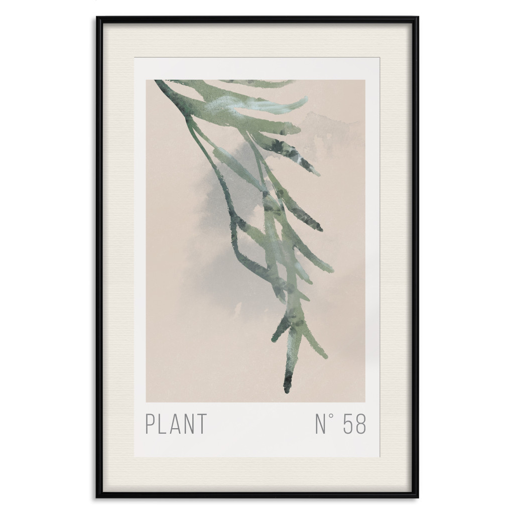Muur Posters Plant Number 58 [Poster]