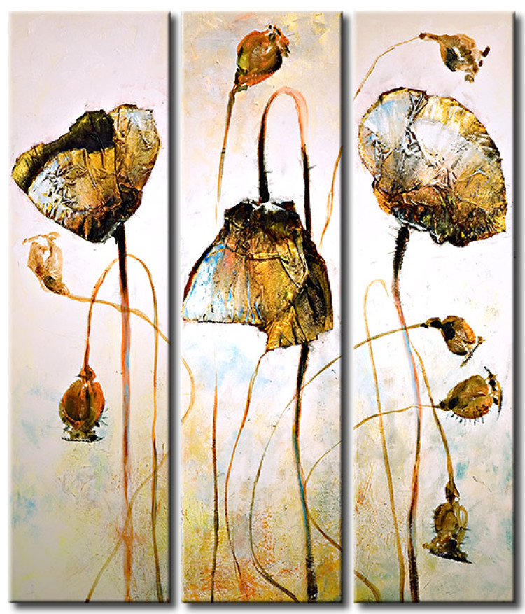 Quadro pintado Papoilas em Fundo Branco (3 peças) - Abstração abstrata de flores de campo 46872