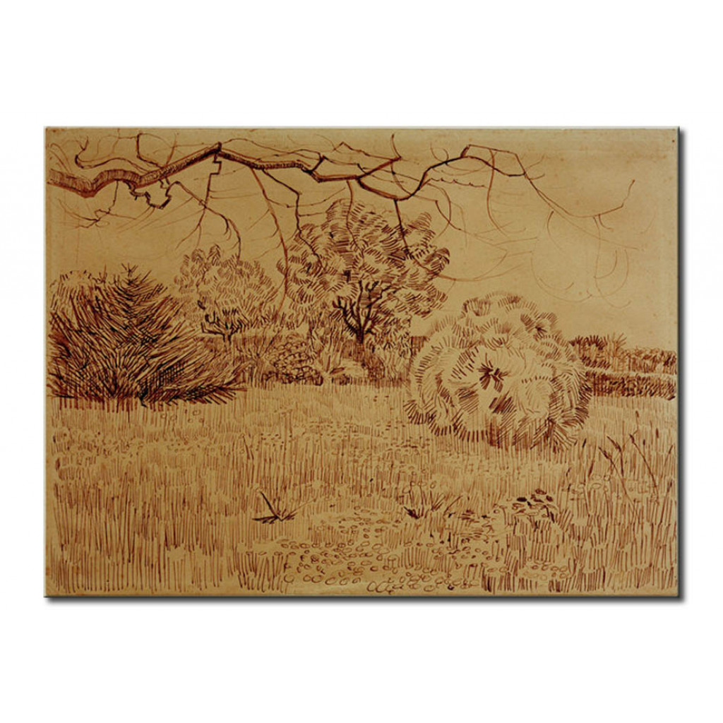 Schilderij  Vincent Van Gogh: Field Of Grass With A Round Clipped Shrub