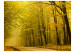 Wall Mural Path through Autumn Forest - Landscape with Forest Path and Yellow Tree Leaves 60272 additionalThumb 1