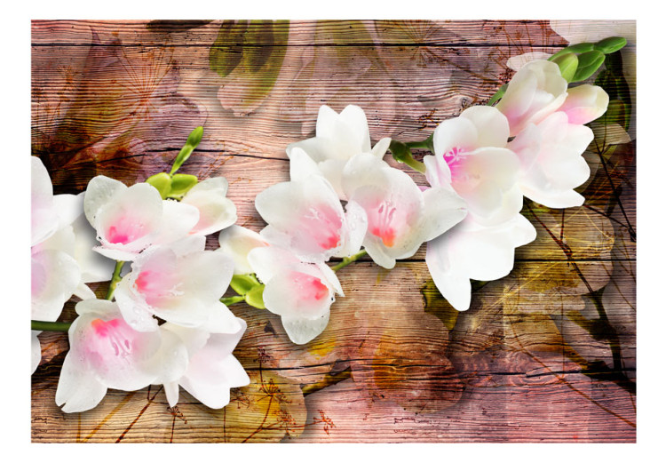 Fototapeta Finezja natury - białe kwiaty magnolii na starym drewnie z odbiciem 62272 additionalImage 1