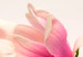 Obraz Piękne magnolie 97372 additionalThumb 4