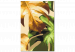 Paint by number Golden Monstera  138482 additionalThumb 4