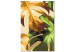 Paint by number Golden Monstera  138482 additionalThumb 6