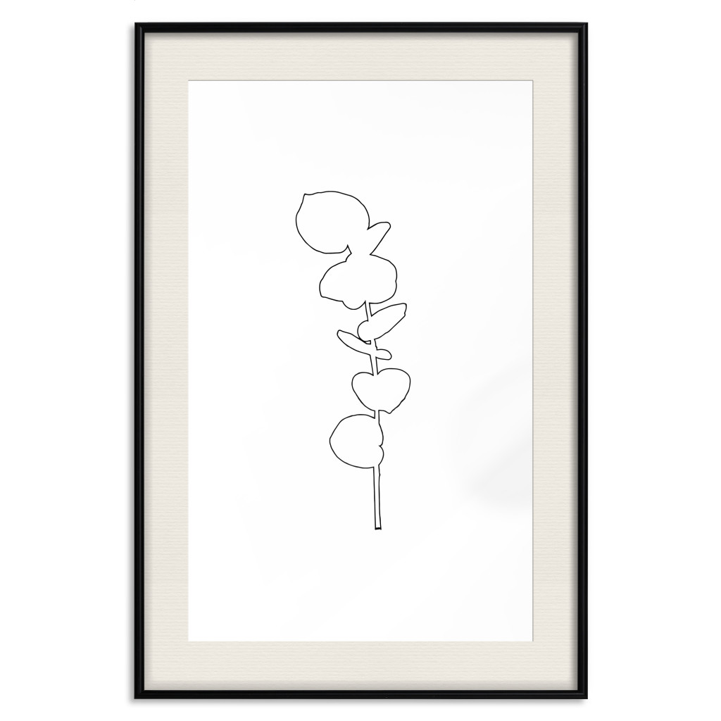 Poster Decorativo Graphic Eucalyptus - Minimalistic Leaf Drawing In A Linear Style