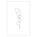 Wall Poster Graphic Eucalyptus - Minimalistic Leaf Drawing in a Linear Style 146182