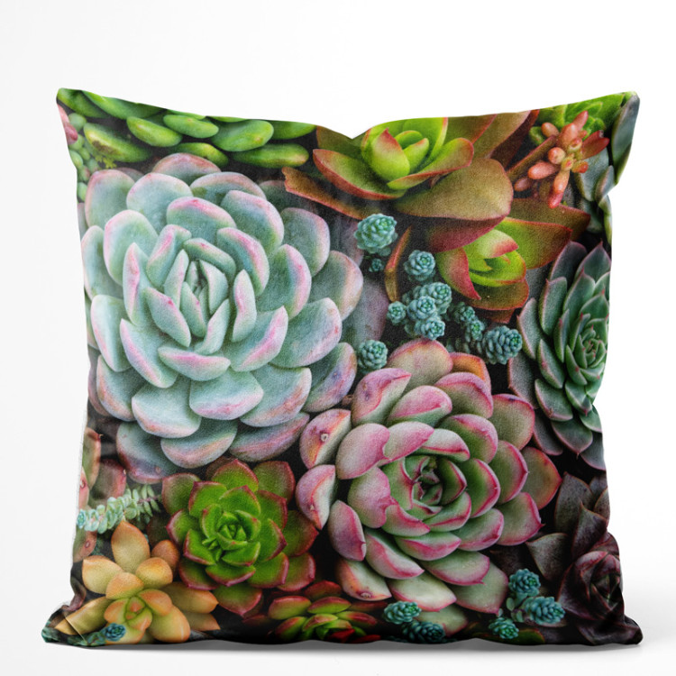 Sammets kudda A world of the succulents - a floral composition with rich detailing 148482