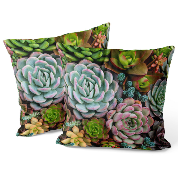 Sammets kudda A world of the succulents - a floral composition with rich detailing 148482 additionalImage 3