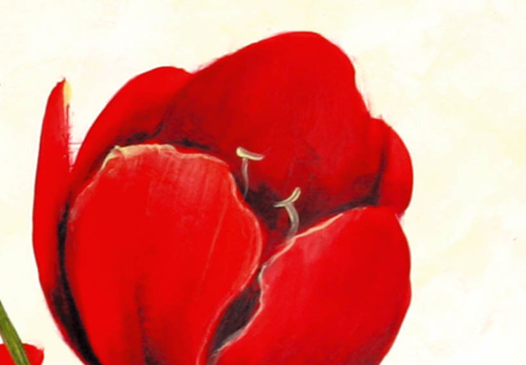 Quadro su tela Tulipani: la gioia del colore  48682 additionalImage 2