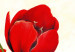 Canvas Art Print Cheerful tulips 48682 additionalThumb 2