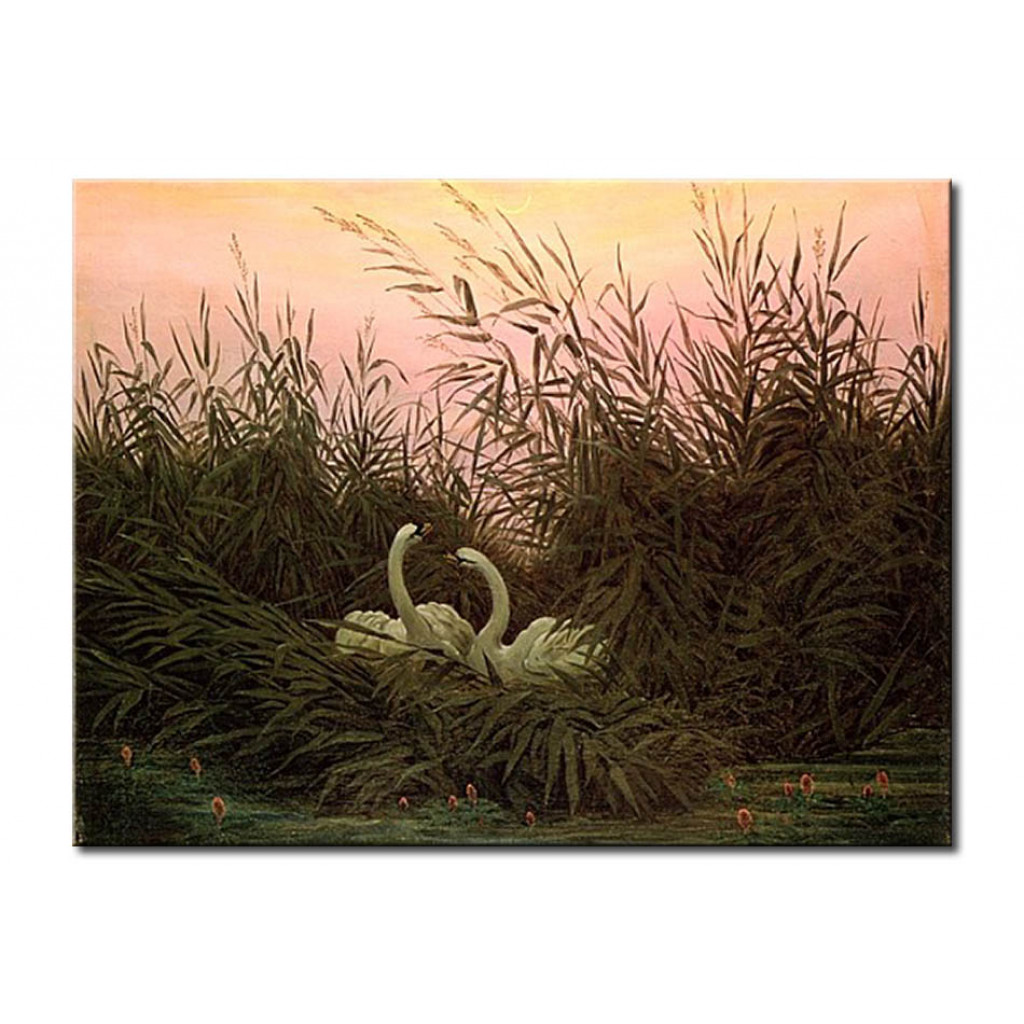 Schilderij  Caspar David Friedrich: Swans In The Reeds