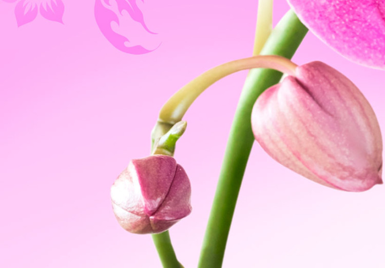 Obraz Eteryczna orchidea - róż 58482 additionalImage 4