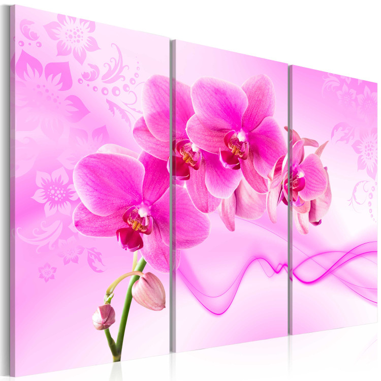 Obraz Eteryczna orchidea - róż 58482 additionalImage 2