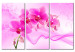 Obraz Eteryczna orchidea - róż 58482