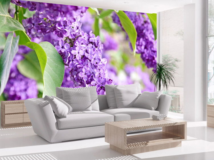 Wall Mural Spring Dream - Close-up of Spring with Flowers and Leaves of Elder 60682