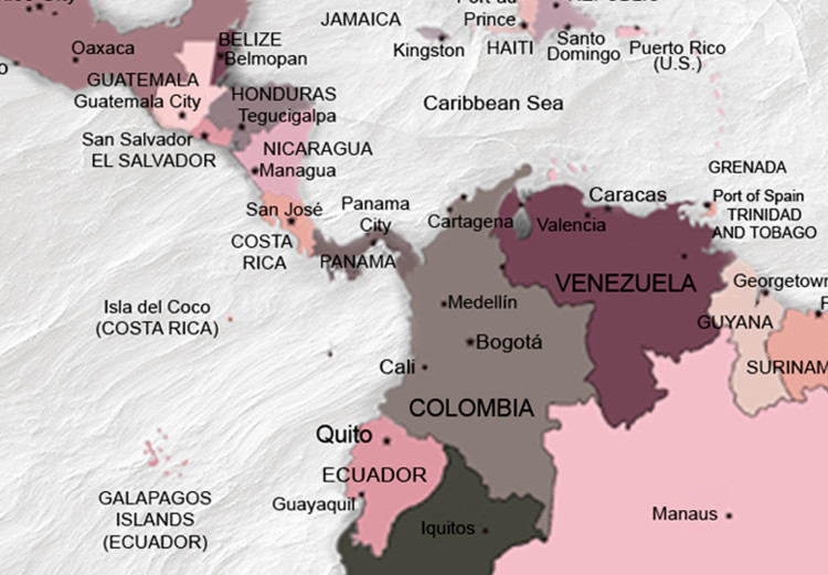 Obraz Mapa świata: Różowe kontynenty 91882 additionalImage 4