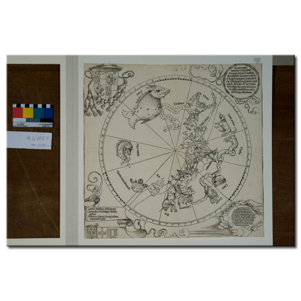 Schilderij  Albrecht Dürer: The Southern Hemisphere Of The Celestial Globe