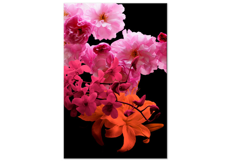 Canvas Flowers in pink - colorful composition with flowers in shades, pink, violet and oranges on a black background