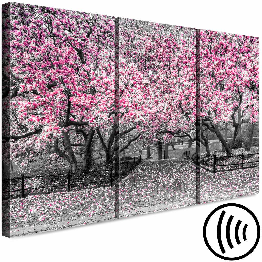 Schilderij  Magnolias: Bloeiende Magnolia's - Drieluik Met Magnoliabomen En Roze Bloemen