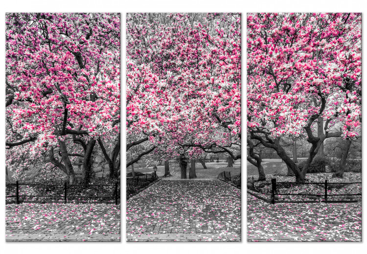 dwaas Helaas rijk Schilderij Bloeiende magnolia's - drieluik met magnoliabomen en roze bloemen  - Magnolias - Bloemen - Schilderijen