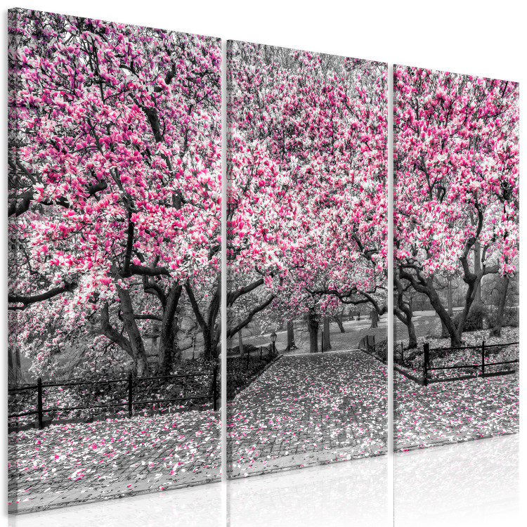Cuadro moderno Magnolias en flor - un tríptico con magnolios y flores rosas 128792 additionalImage 2