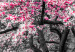 Cuadro moderno Magnolias en flor - un tríptico con magnolios y flores rosas 128792 additionalThumb 5